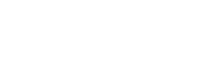 VirtuFit