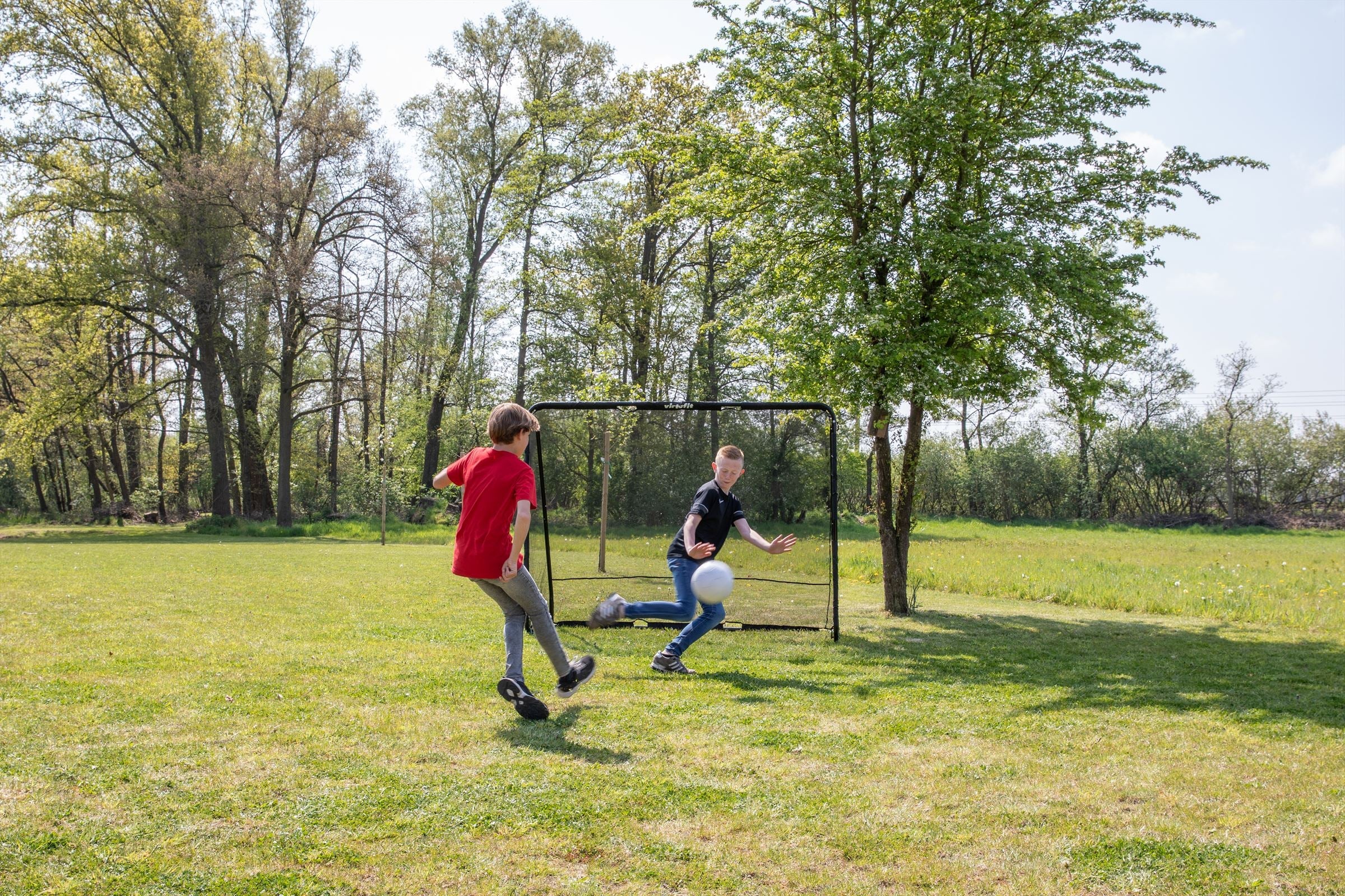 VirtuFit Voetbaldoel Pro met Doelwand - Voetbal Goal - 220 x 170 cm