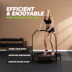 VirtuFit Foldable Fitness Trampoline