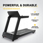 Flow Fitness Perform T3i Treadmill
