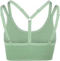 Whitney Seamless Sportbeha - back