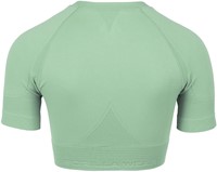 Whitney Seamless Crop Top - back
