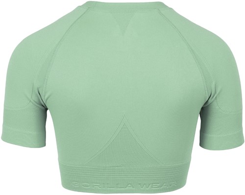 Whitney Seamless Crop Top - back
