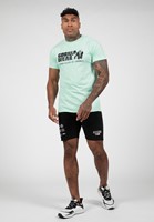 Gorilla Wear Classic T-shirt - Mint-3