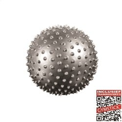 Gymstick Pilates Bal - 20 cm - Grijs