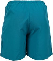 Lubec Shorts back