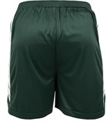 Orlando Shorts - back