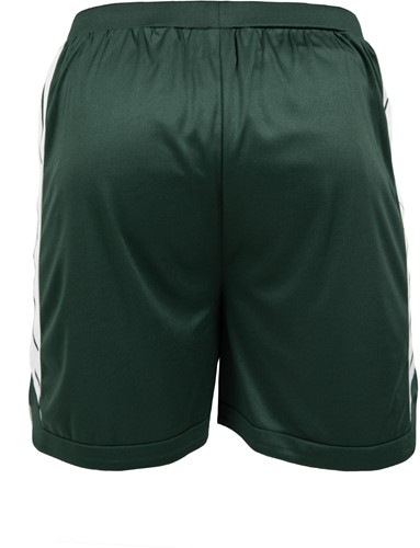 Orlando Shorts - back