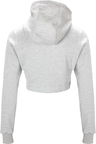Pixley Crop Top Hoodie - Grijs