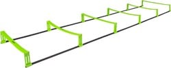 VirtuFit 2-in-1 Elevation Ladder Pro